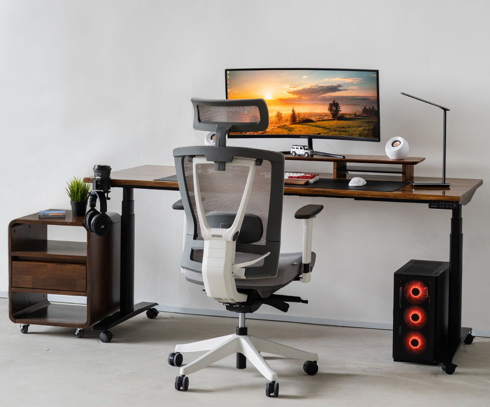 Full setup of ergonomic workspace