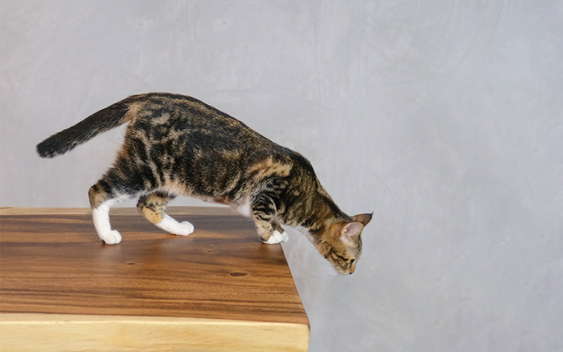 solid wood desk 