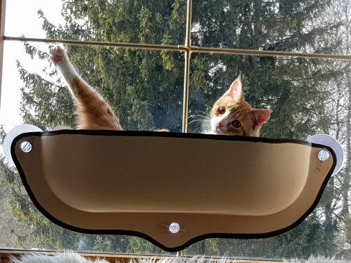 The Original Cat Window Hammock - Let 