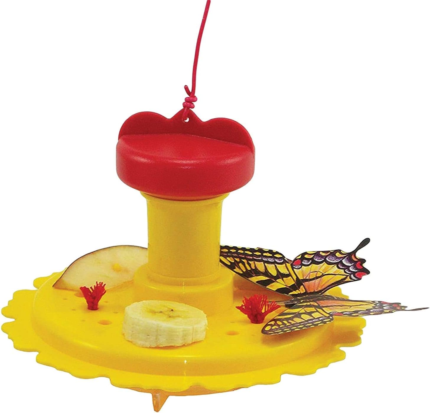 Butterfly Feeder/Nectar Combo