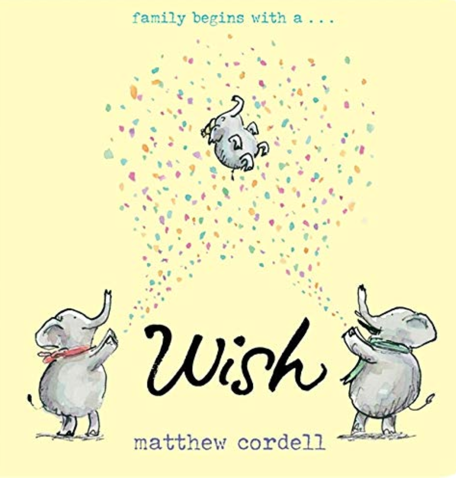 Wish childrens book