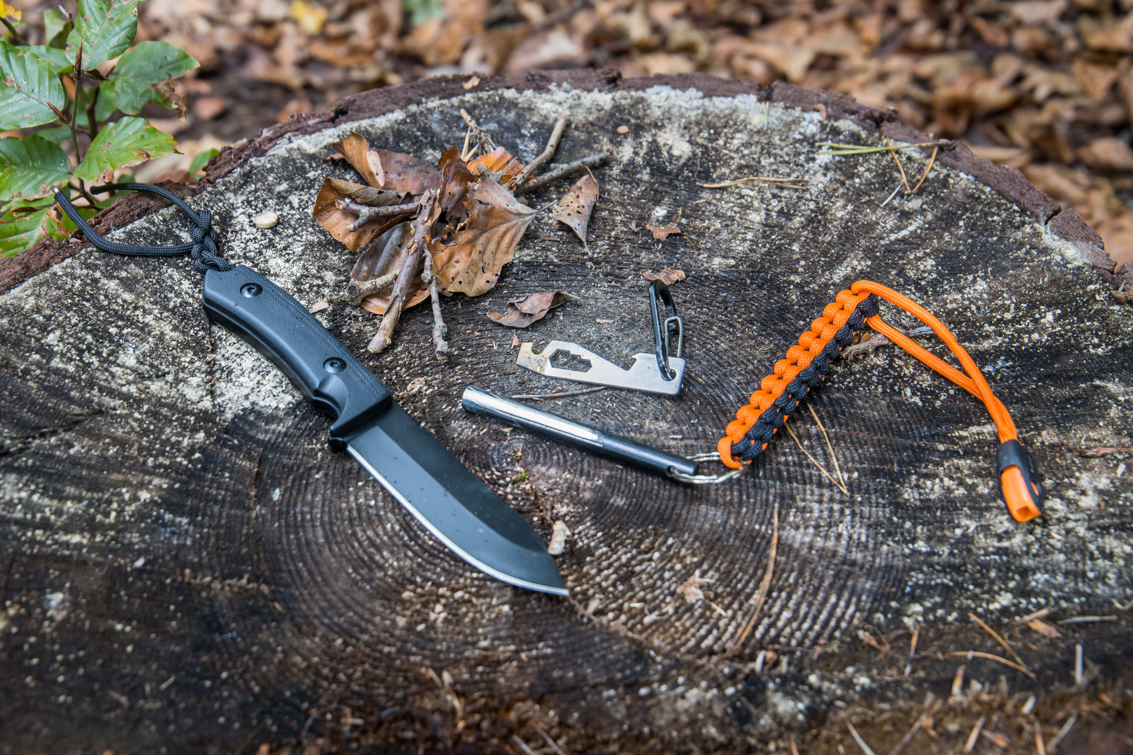 bushcraft tools and gear to have as a survivalist