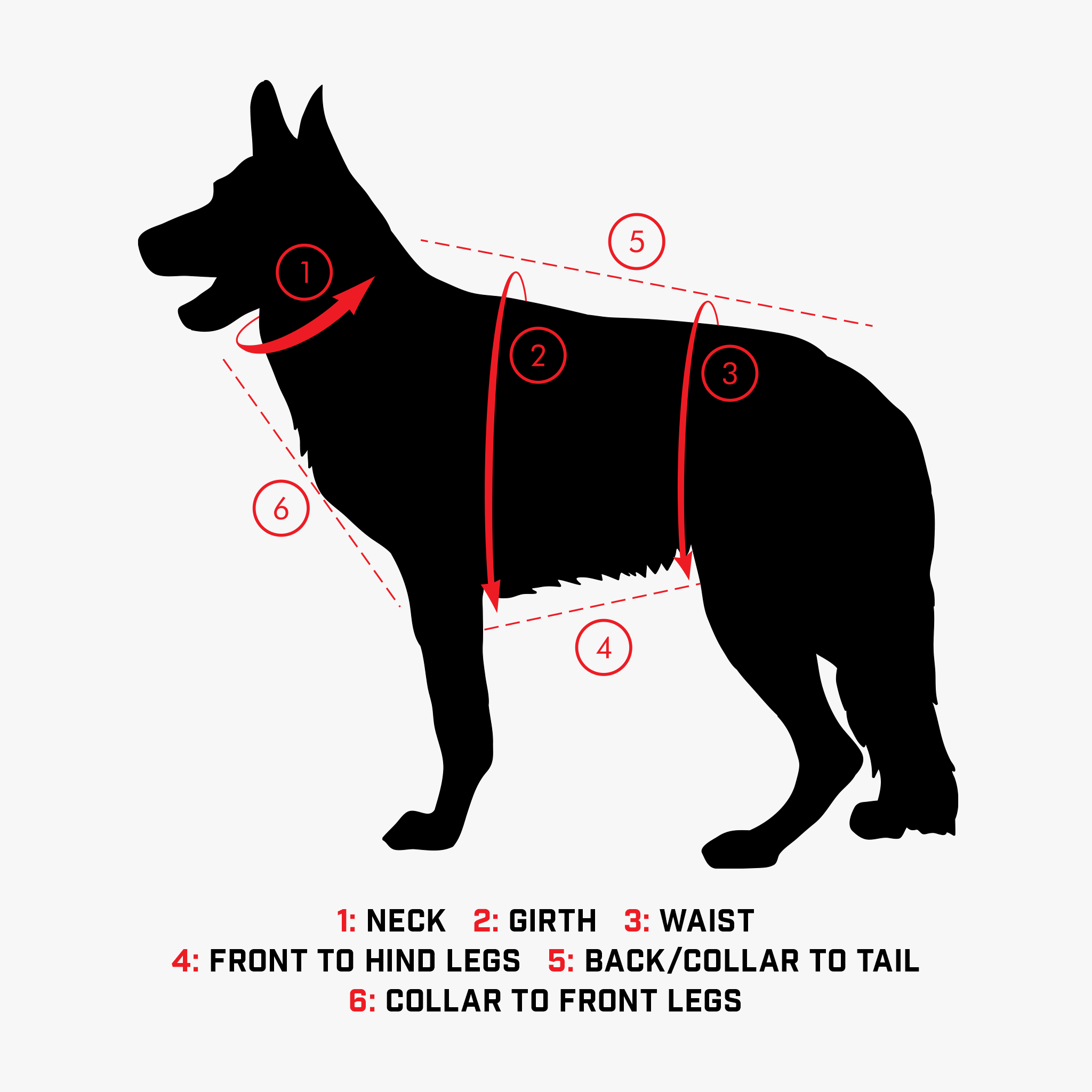 sizing guide for a K9 ballistic vest.