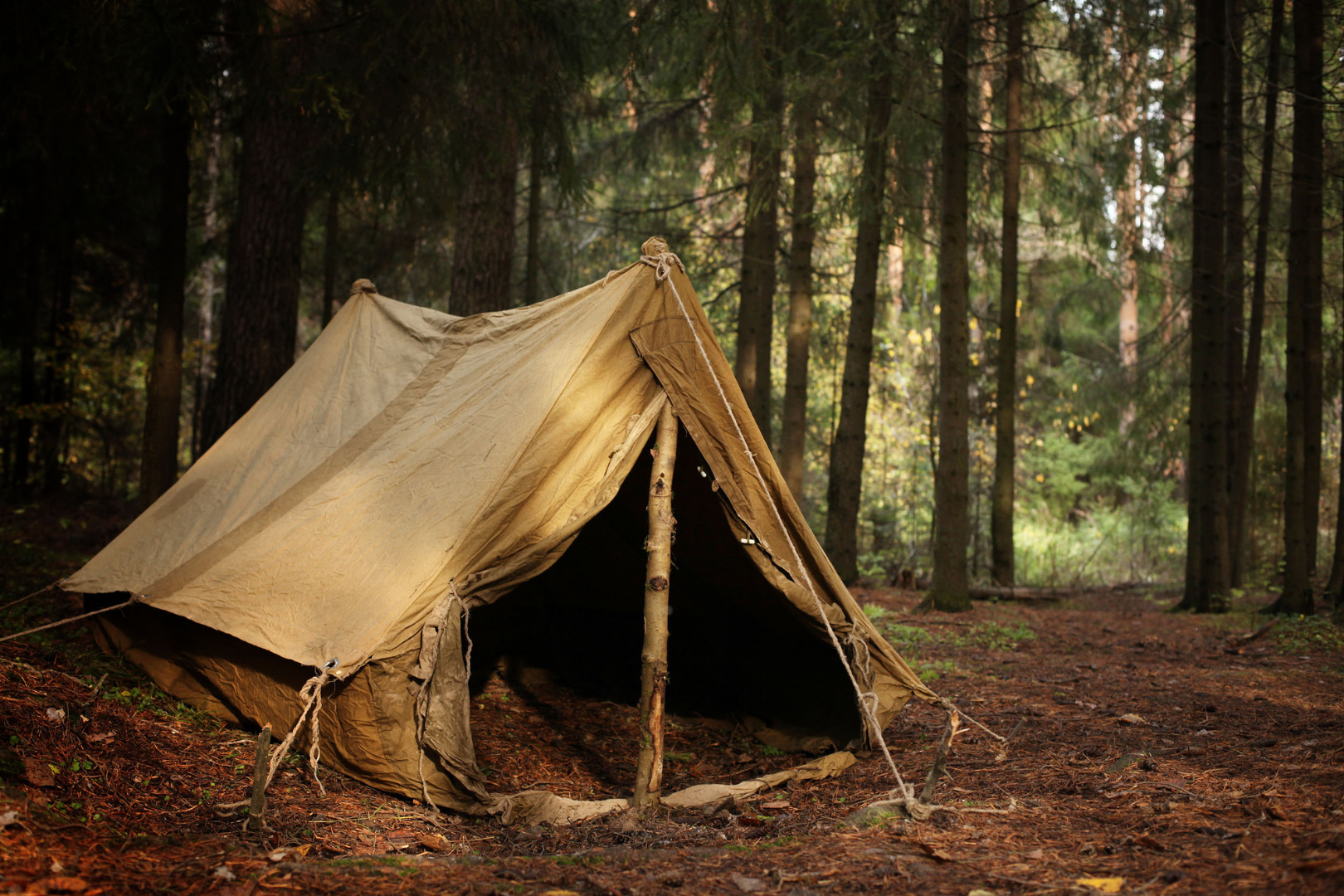 bushcraft camping with a tent shelter