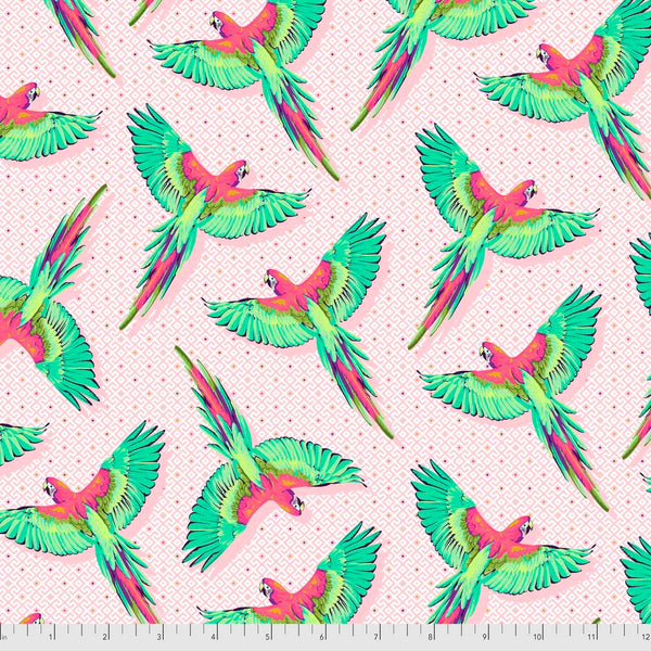 Tula Pink DAYDREAMER - Macaw Ya Later - PWTP170.DRAGONFRUIT