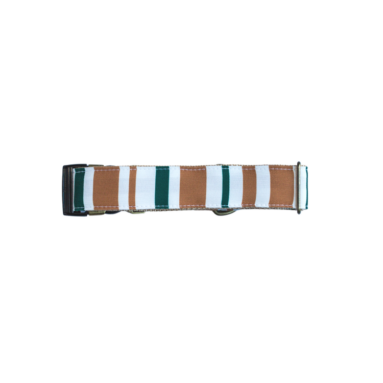 Fall Desert Eco-Canvas Collar - Designs By Wildside 