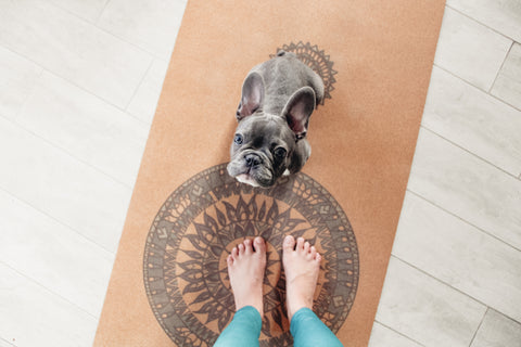 100% Eco Friendly Yoga Mat with Artistic Design and Cute Dog