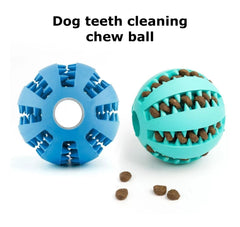 Dog teeth cleaning chew ball