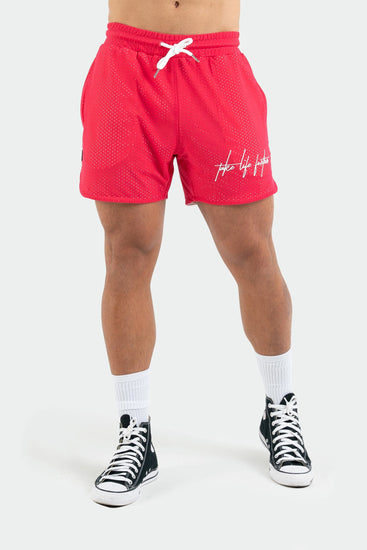 Train Like a Freak 5 Inch Mesh Shorts | TLF Apparel