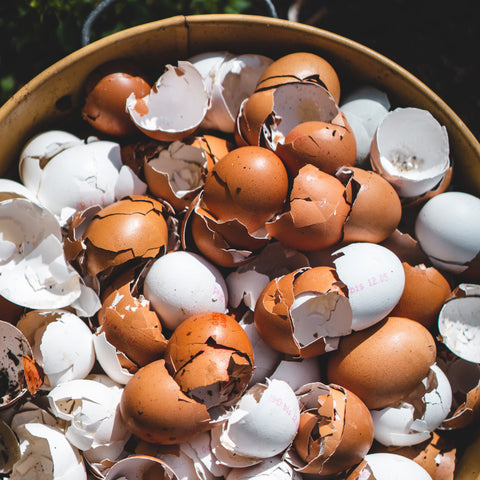 compost egg shell pile