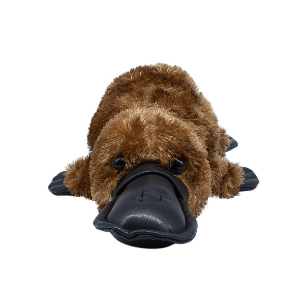 platypus soft toy