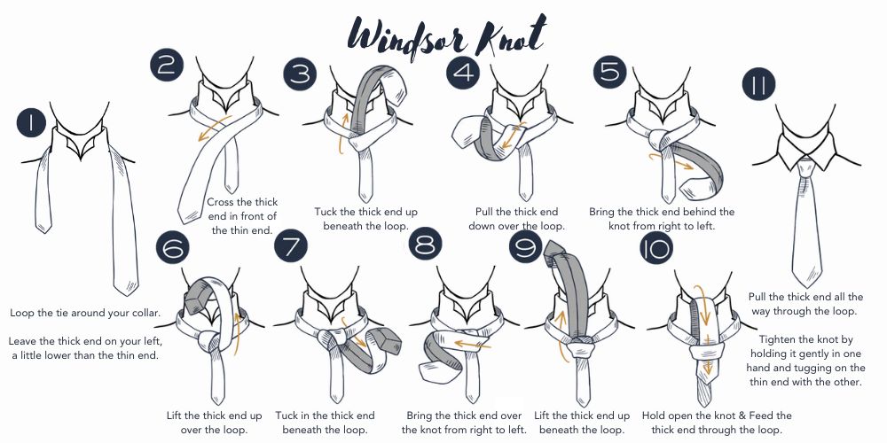 Windsor Knot Infographic