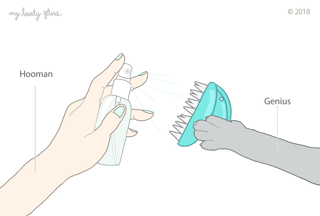 The Best Brush for Cats