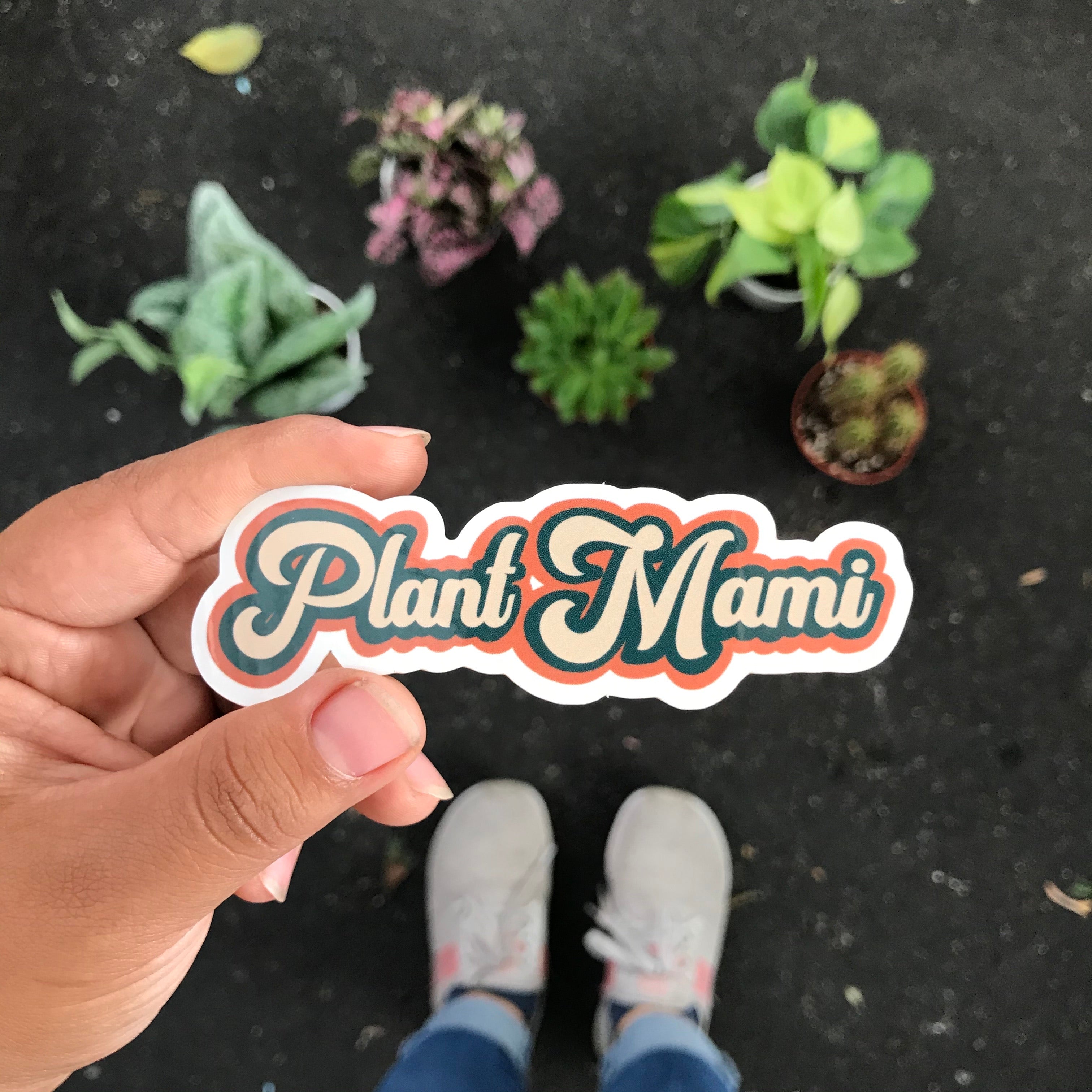 Plant Mami – The LA Garden