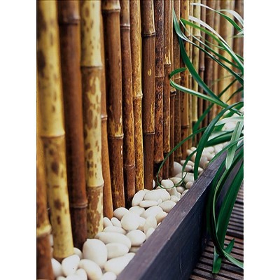 Bambusove palice