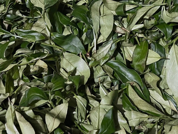 You Hua Xiang Dan Cong Oolong Leaves after sun drying