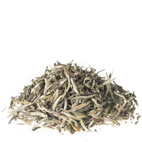 silver needle white tea