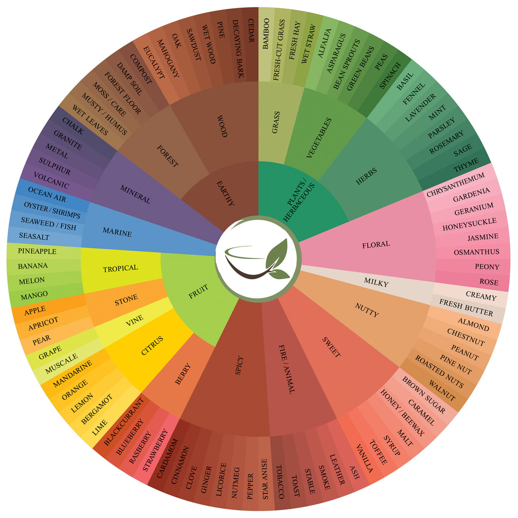 Flavor Wheel