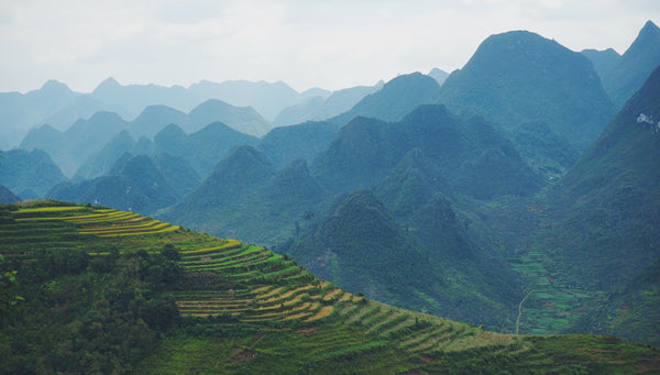 Vietnam landscape