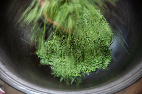 processing of tea