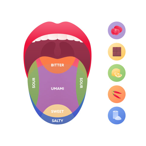 bitterness vs astringency 