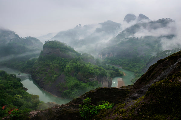 Yancha The Different Tea Growing Areas of the Wuyi Mountains