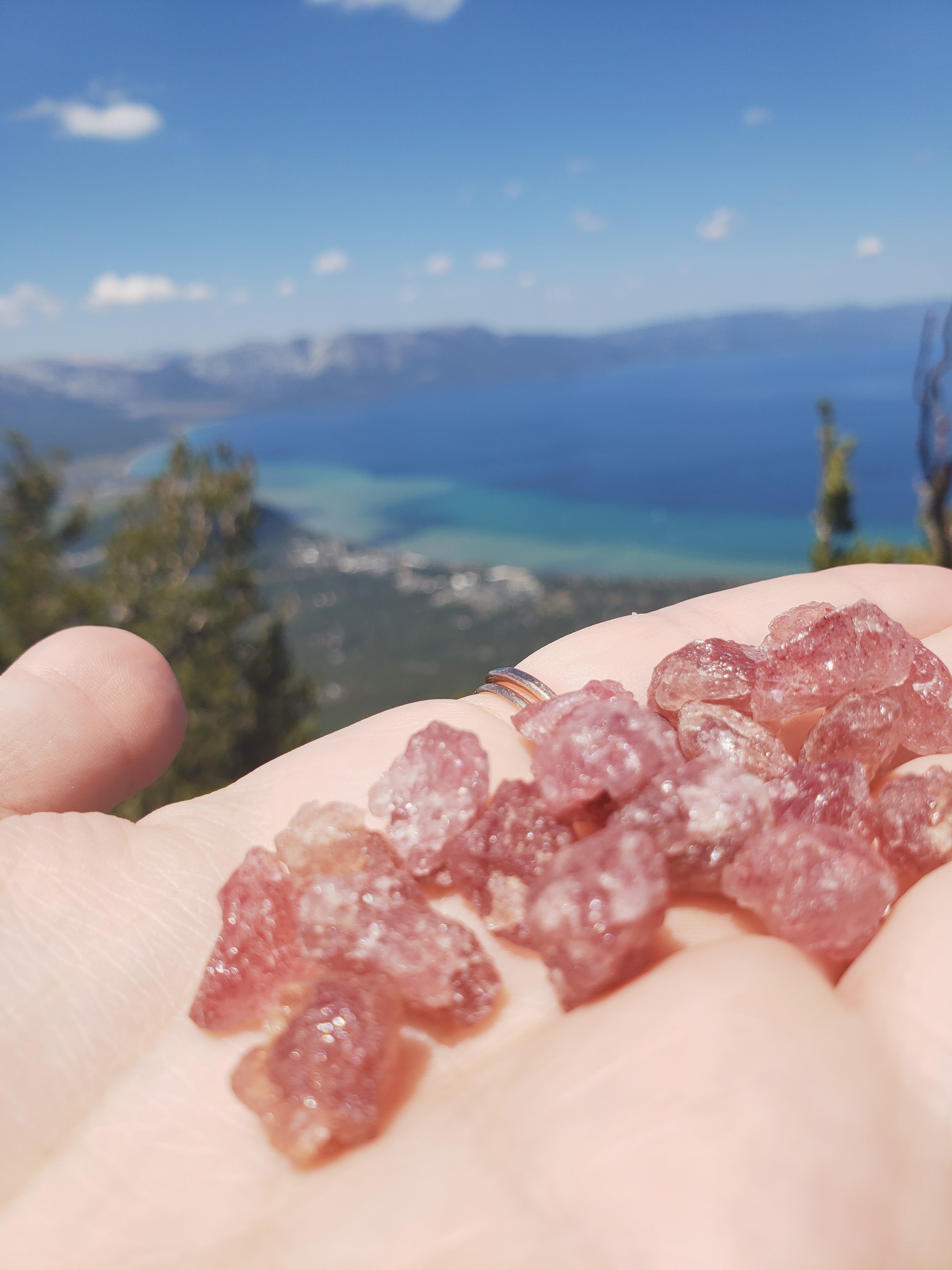 Cherry Tanzurine Ring