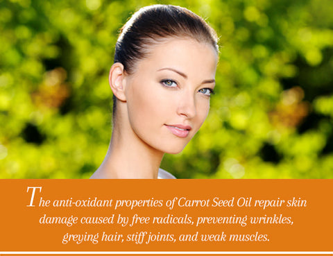 Carrot Seed Essential Oil Uses & Benefits - Essentially You Oils - Ottawa Ontario Canada