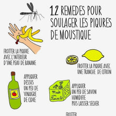 Comment Soulager Les Piqures De Moustiques Naturellement Bonatureshop