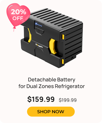 Detachable Battery of Portable Fridge (Adapter not included)