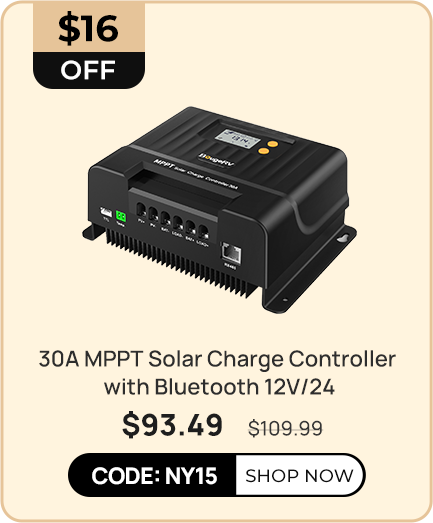 30A MPPT Solar Charge Controller with Bluetooth 12V/24V