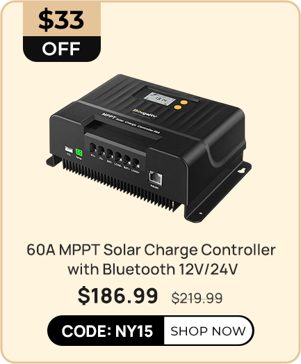 60A MPPT Solar Charge Controller with Bluetooth 12V/24V