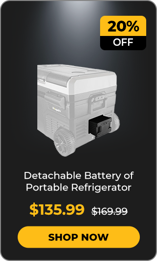 Detachable Battery of Portable Refrigerator