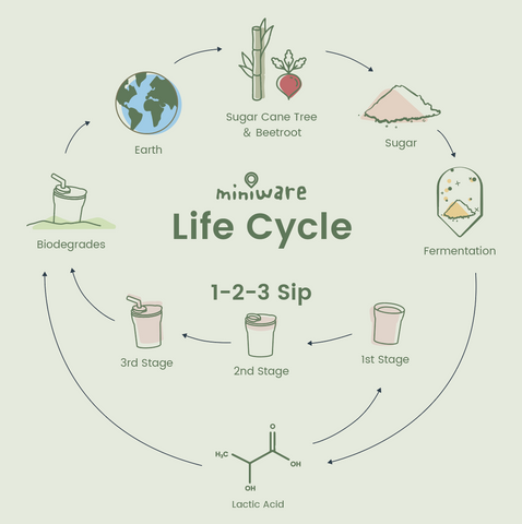 Miniware Product Lifecycle