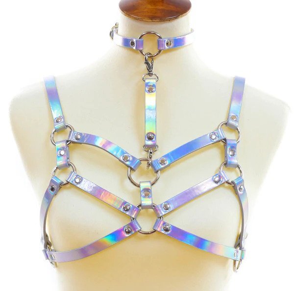 Double Strap Harness With Choker