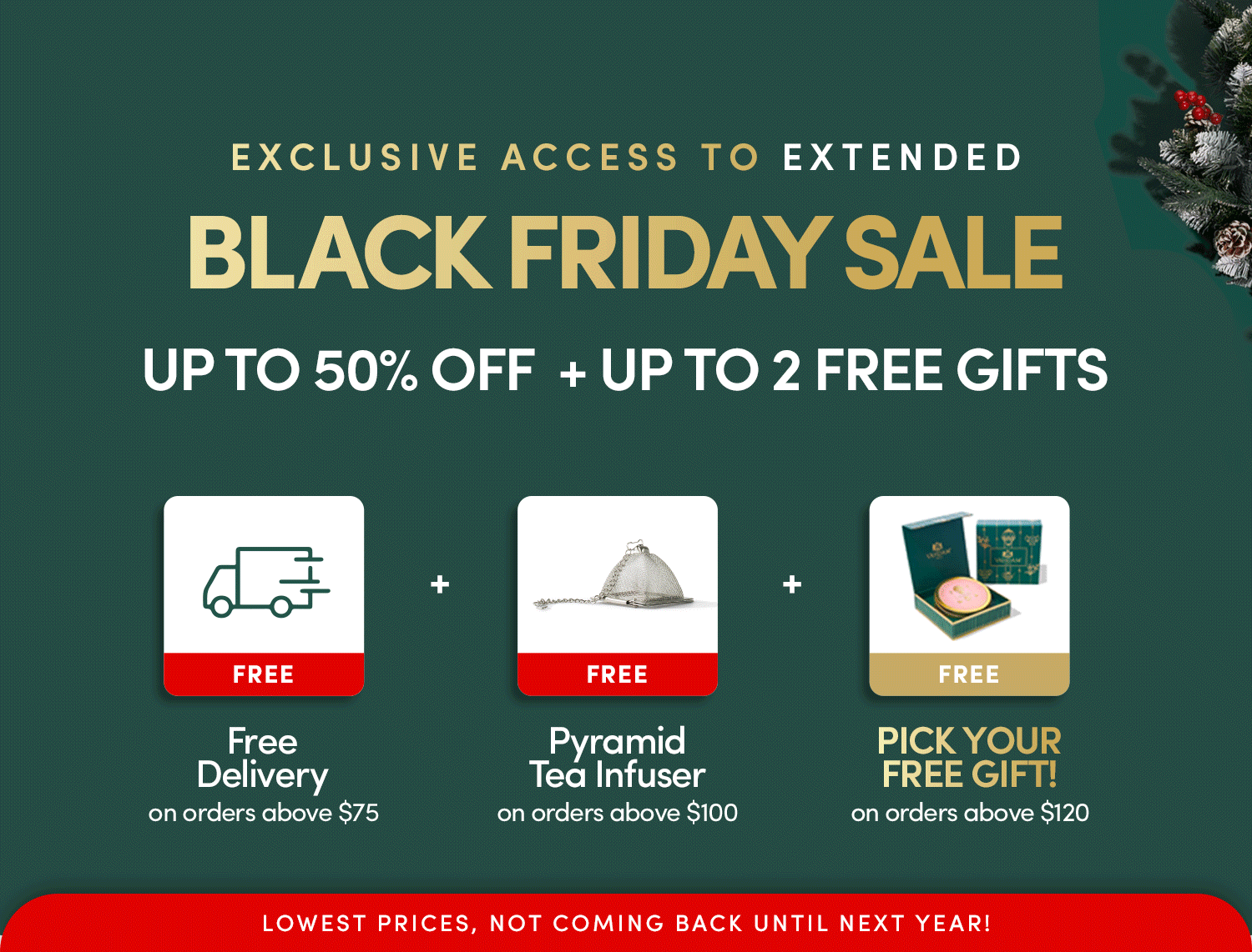EARLY BLACK FRIDAY SALE – 50% OFF
