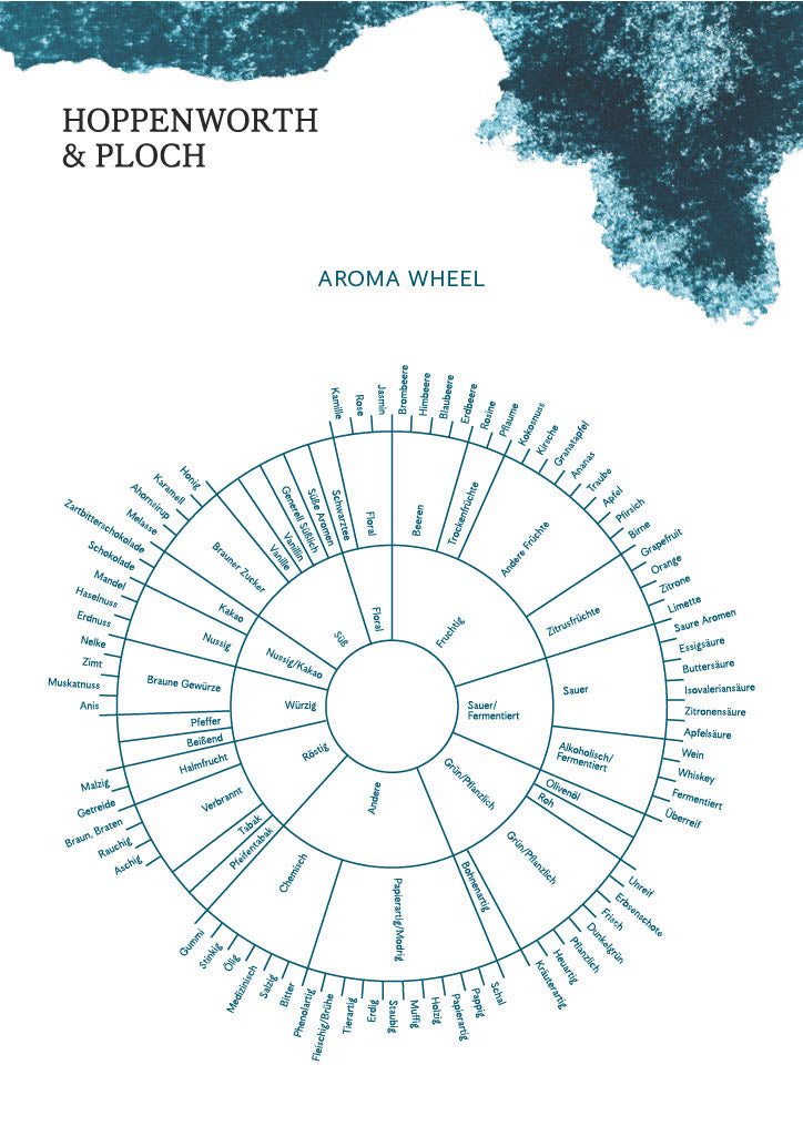 Coffee Aroma Wheel