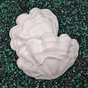 Release the Kraftin' Giant Clam Shell Set - IDfabrications  - Clam Shells For Crafts