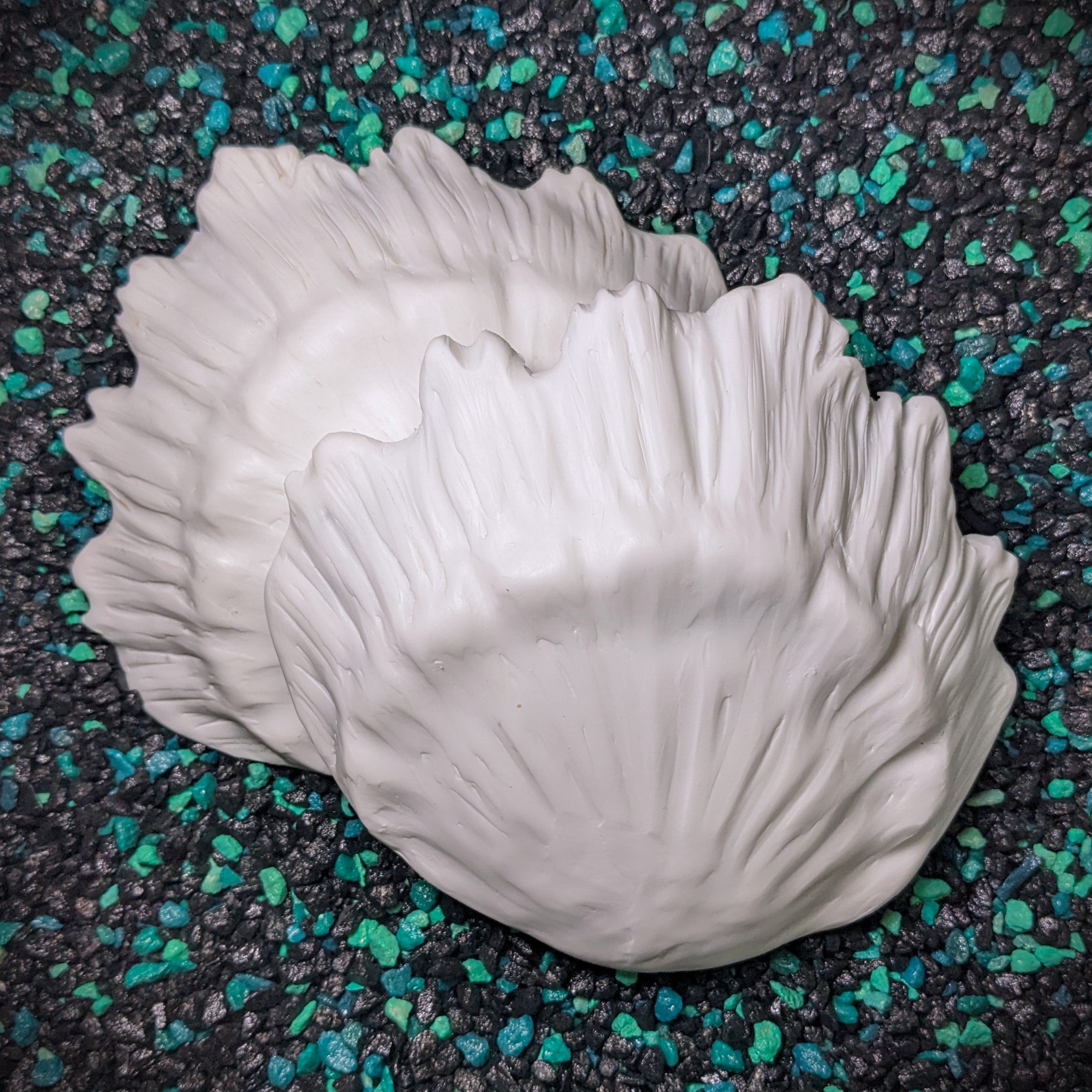 Release the Kraftin' Lace Murex Shell Set