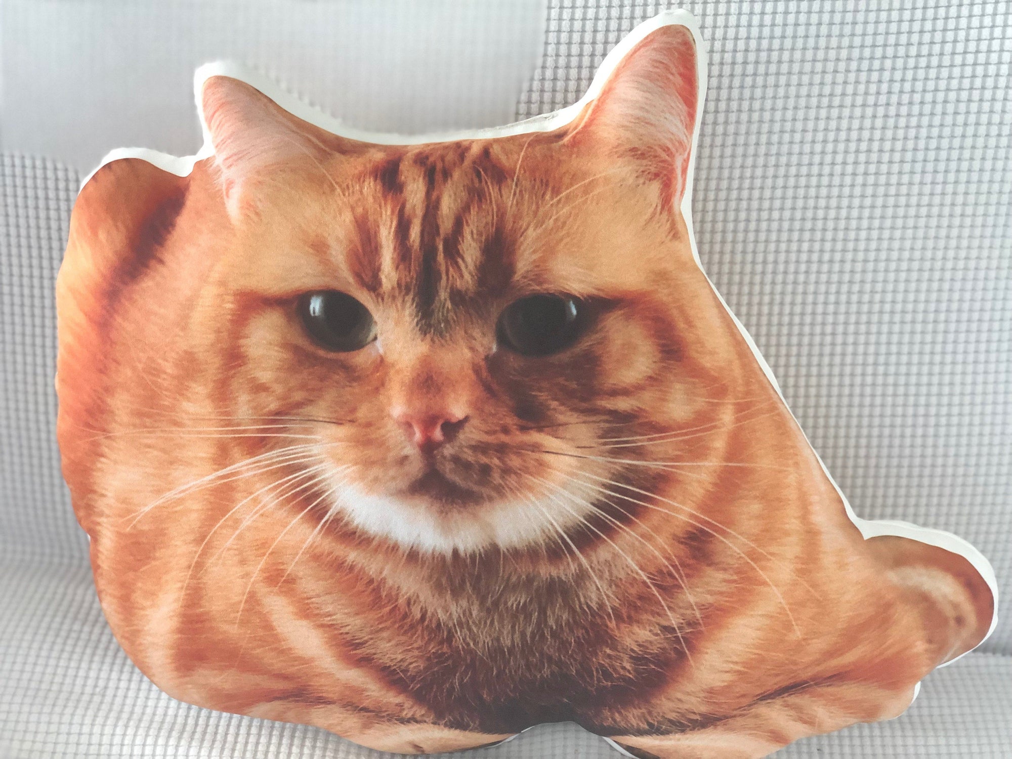 Create A Custom Cat Pillow– Dream A Pillow