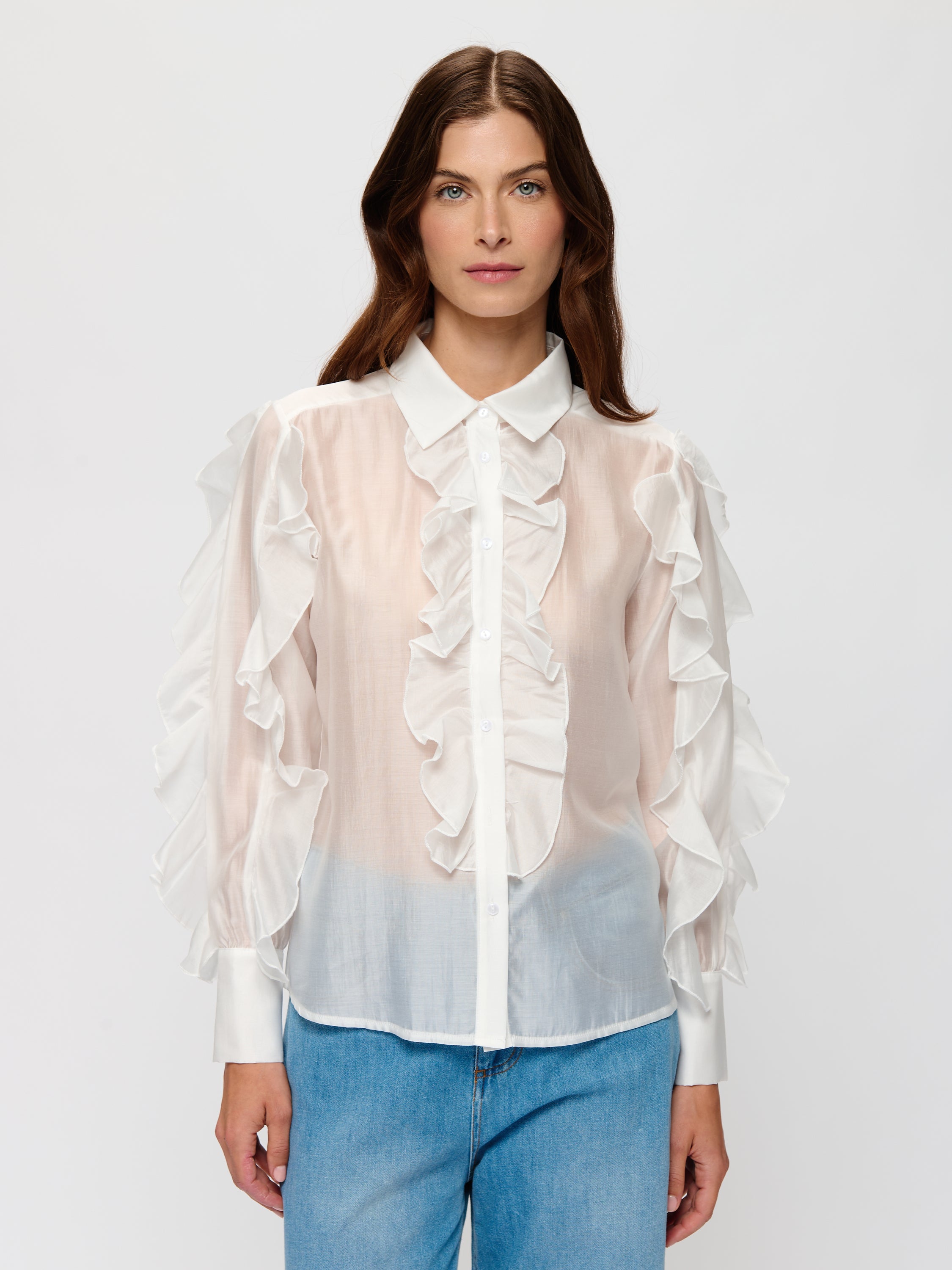 Sheer Ruffled Blouse