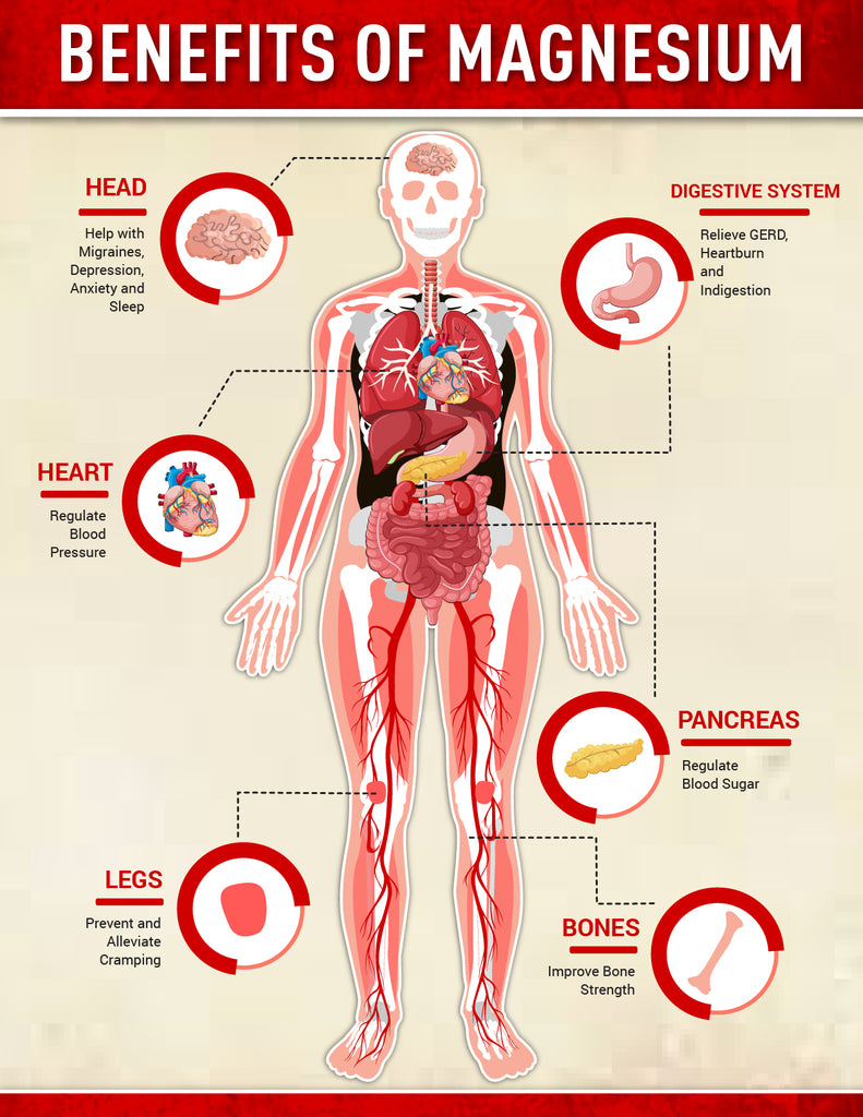 the-benefits-of-magnesium