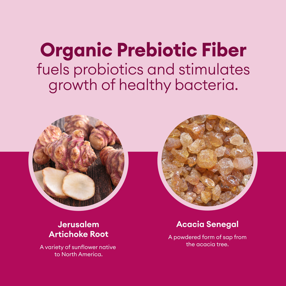 Women's Probiotics