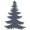 fraser fir tree icon