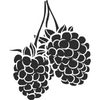 sage & blackberry icon
