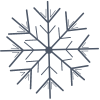 frost icon