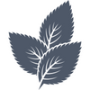 mint leaves icon