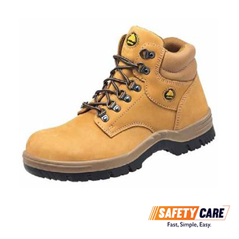 titan safety shoes