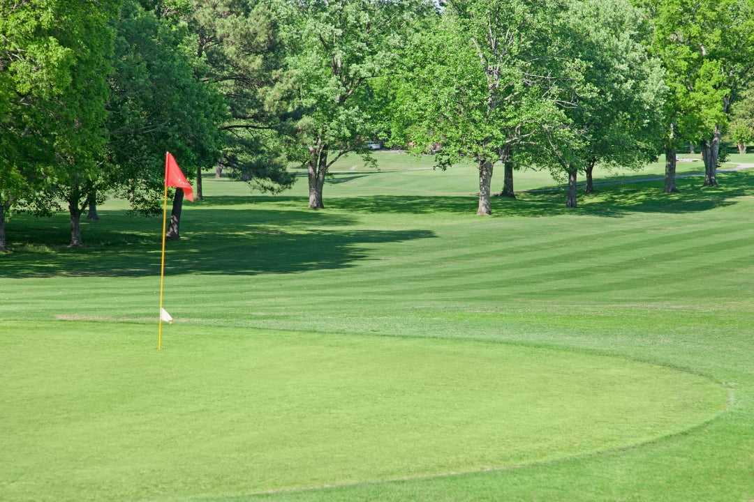 flagpole near hole on verdant golf course with green trees