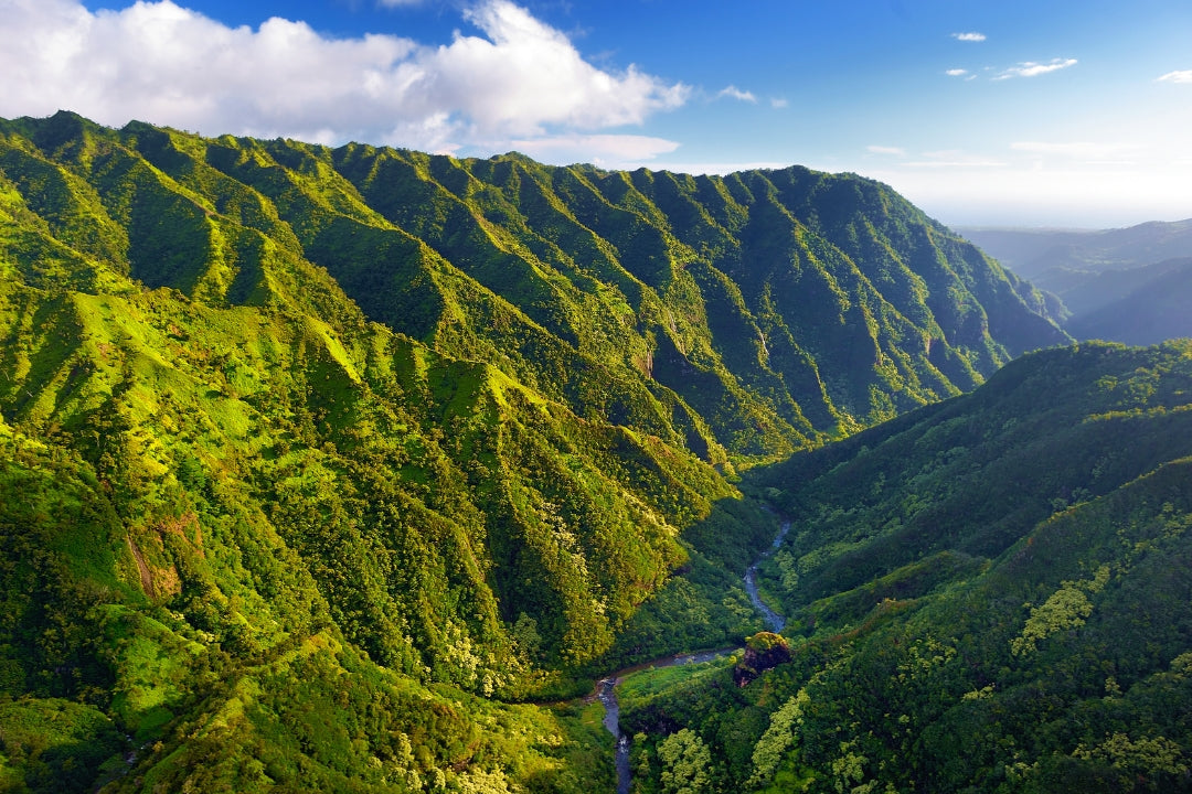 Kauai green multi-ridged mountain and valley